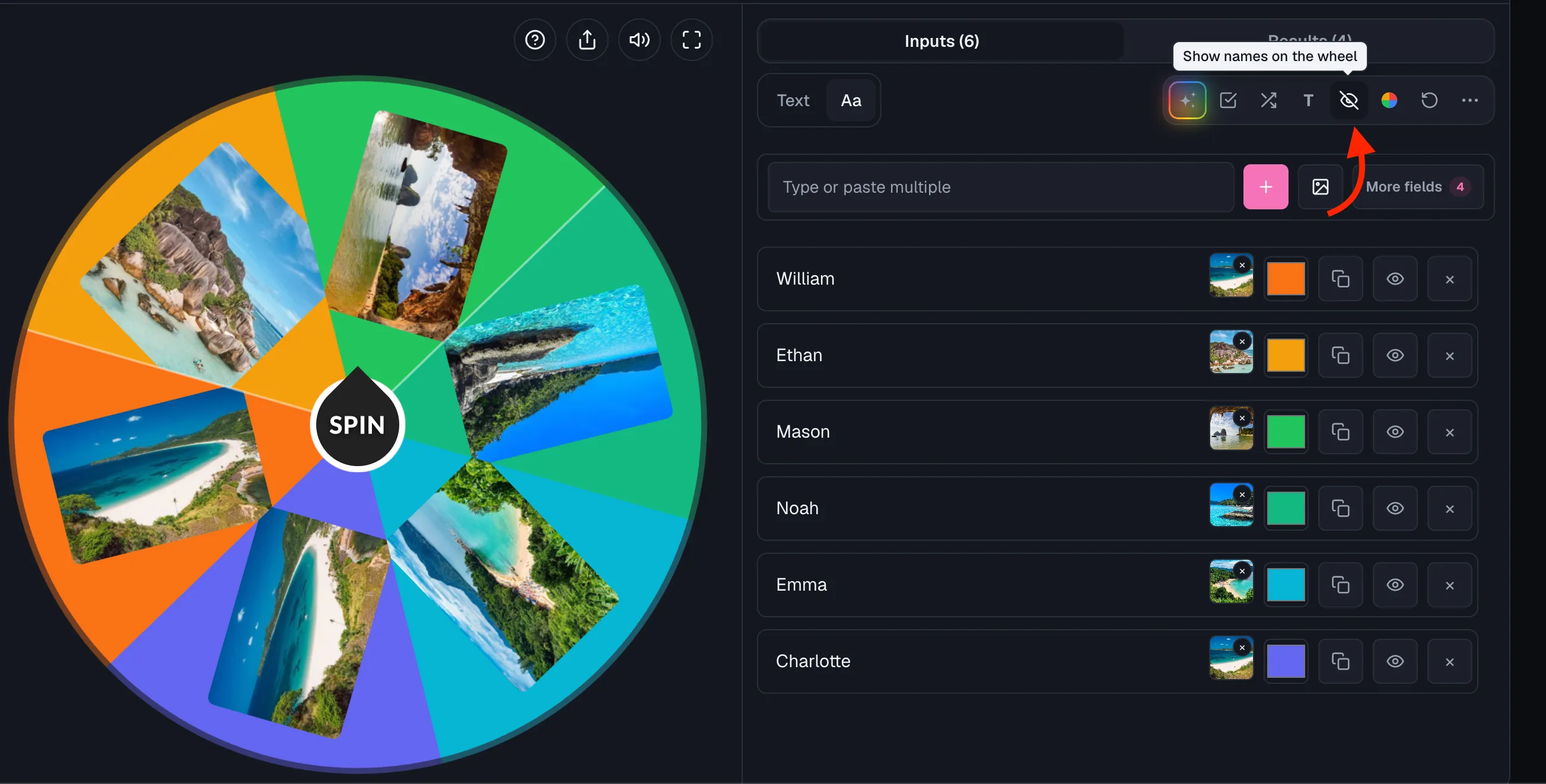 Tooltip "Show names on the wheel" with arrow pointing at the eye/eye-slash toggle in the entries toolbar.