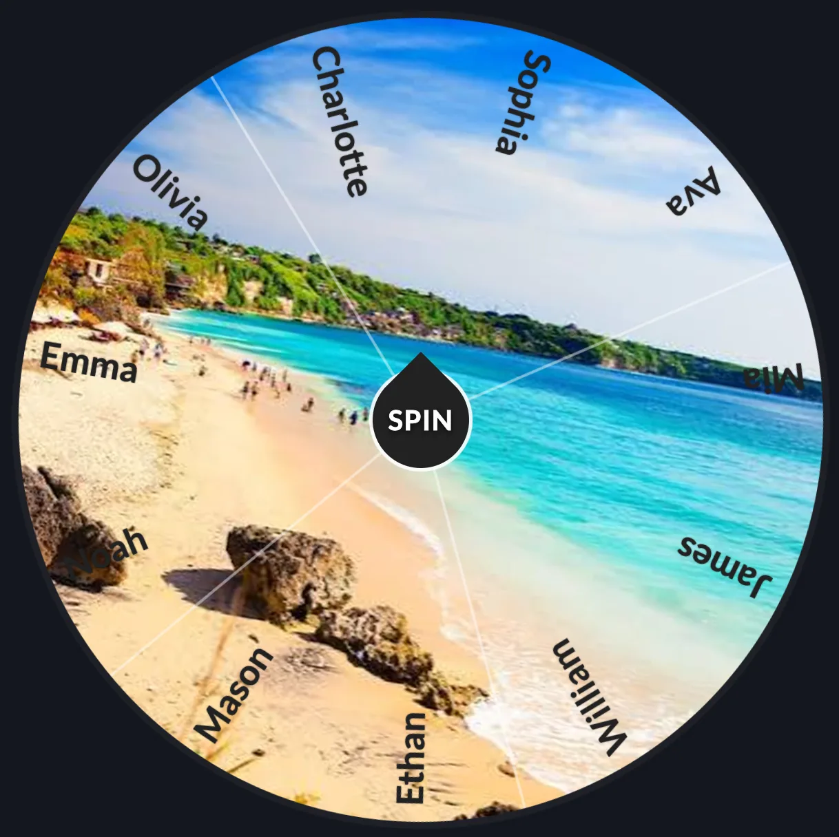 Wheel of Names: Wheel view showing the beach background image filling the wheel area behind the slices, next to the entries panel.